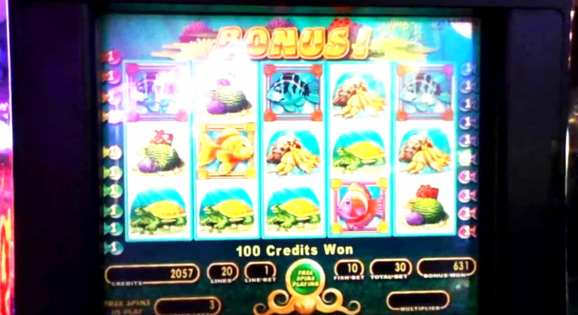 425% Signup Casino Bonus at Rizk Casino