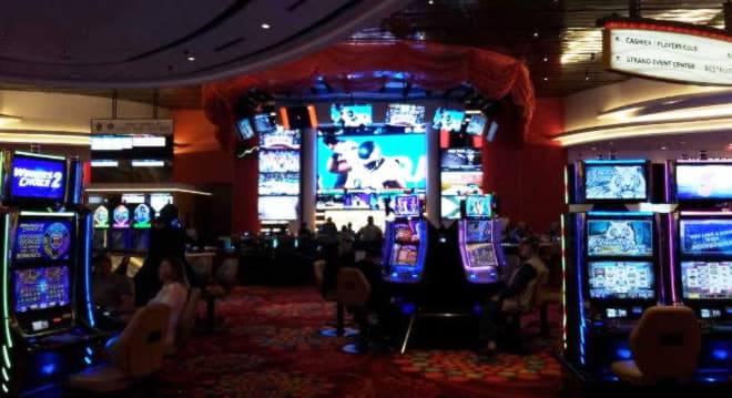 230 free spins no deposit at Bet Hard Casino