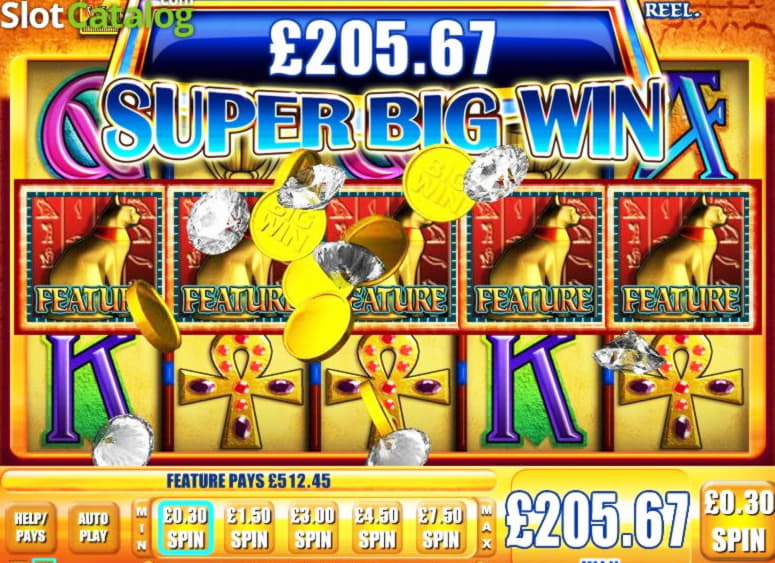 530% No Rules Bonus! at 777 Casino