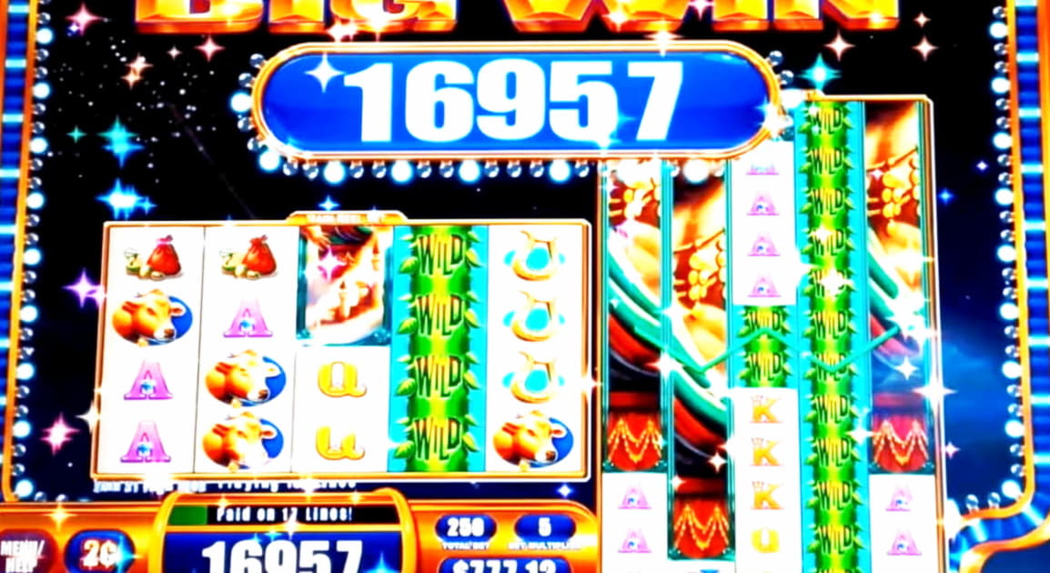205 Trial Spins at Casino-X