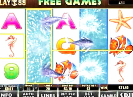 865% Match Bonus at Rizk Casino