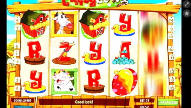 ﻿$222 free chip at Loki Casino