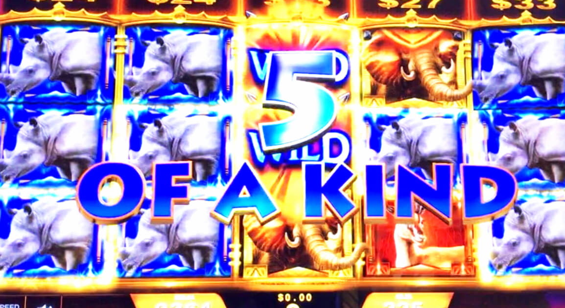 EURO 3805 no deposit bonus at Ruby Fortune Casino