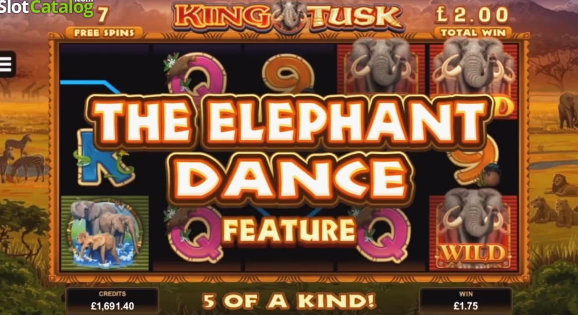 155 FREE SPINS at CasiPlay Casino