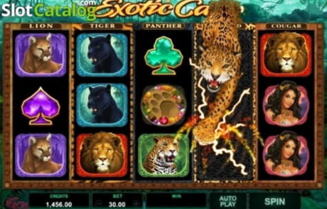 ﻿$999 Daily freeroll slot tournament at Lucky Nugget Casino
