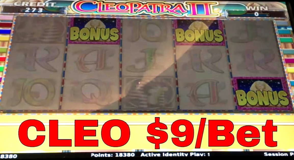 $4770 NO DEPOSIT BONUS at Rizk Casino