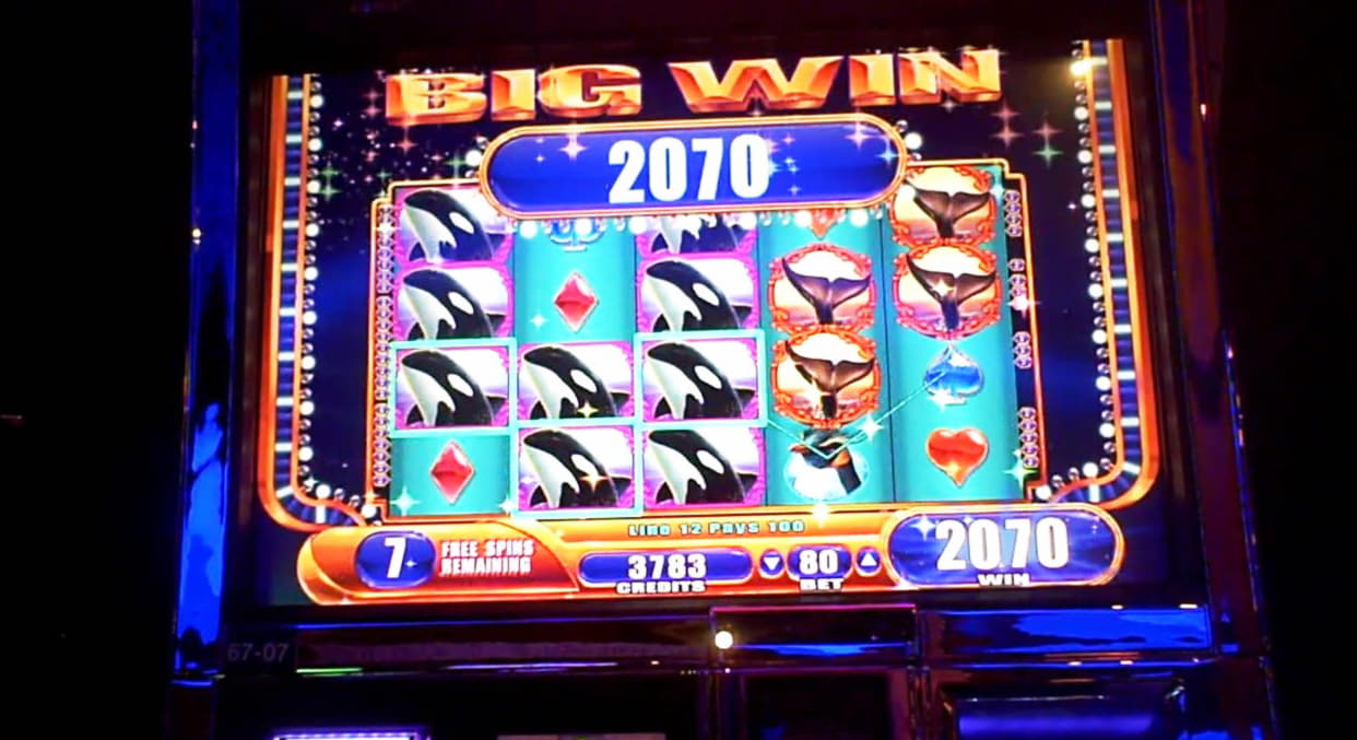 €355 Daily freeroll slot tournament at Omni Slots Casino