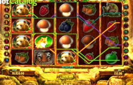 55 free spins no deposit casino at Estonia Casino 
