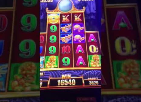 810% Match Bonus Casino at Rizk Casino