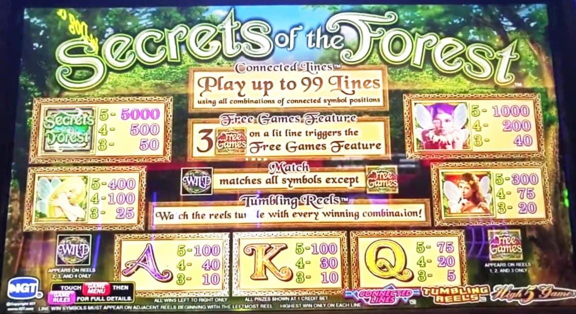 335% Casino match bonus at Wish Maker Casino