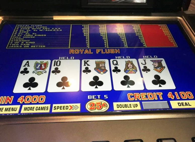 55 Free spins no deposit casino at Red Flush Casino
