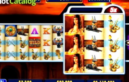 275 Free Spins Casino at Oshi Casino