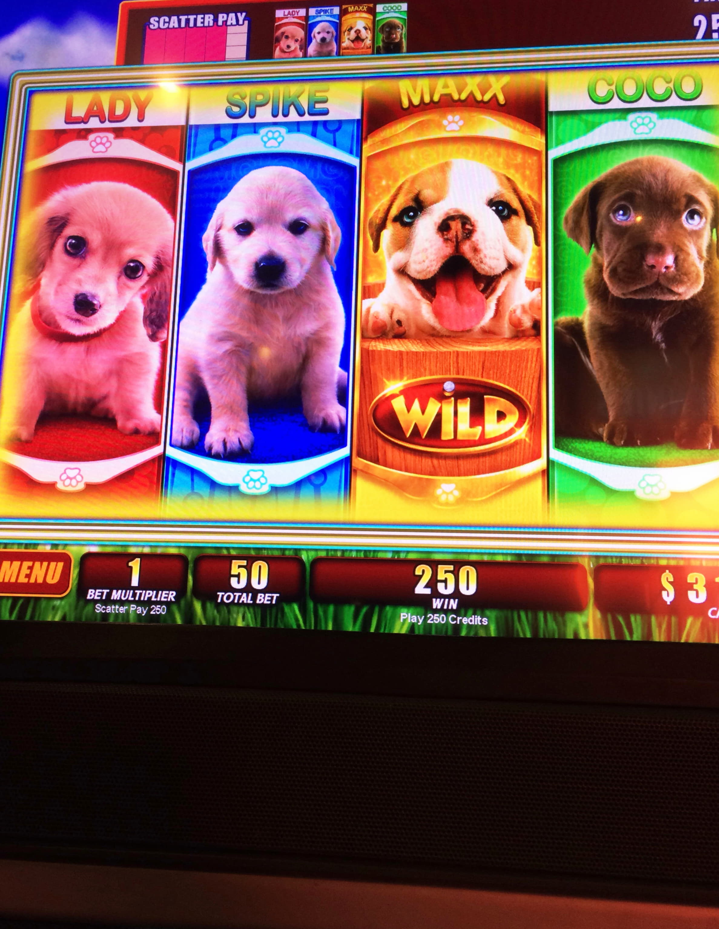 705% Match bonus casino at Omni Slots Casino