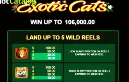 £285 FREE Casino Chip at Casino Cruise