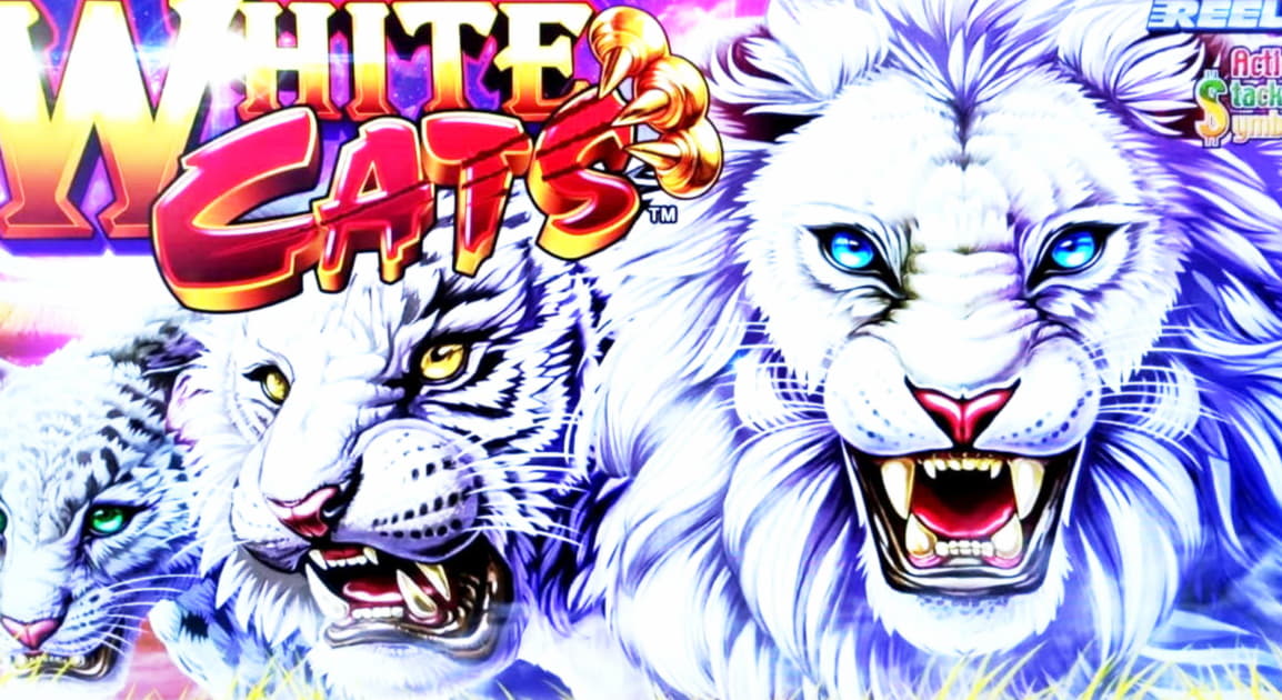 22 FREE SPINS at Platinum Play Casino