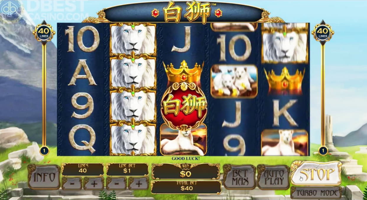 44 FREE Spins at Bet Hard Casino