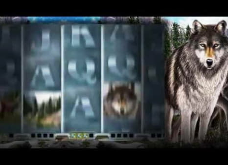 30% Deposit Match Bonus at Red Flush Casino