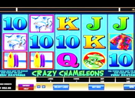 €3825 No deposit bonus at Rizk Casino