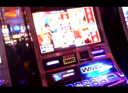 105 FREE SPINS at CasiPlay Casino