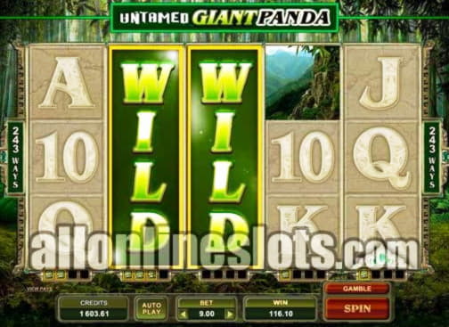 Eur 1775 No Deposit Bonus Code at Omni Slots Casino