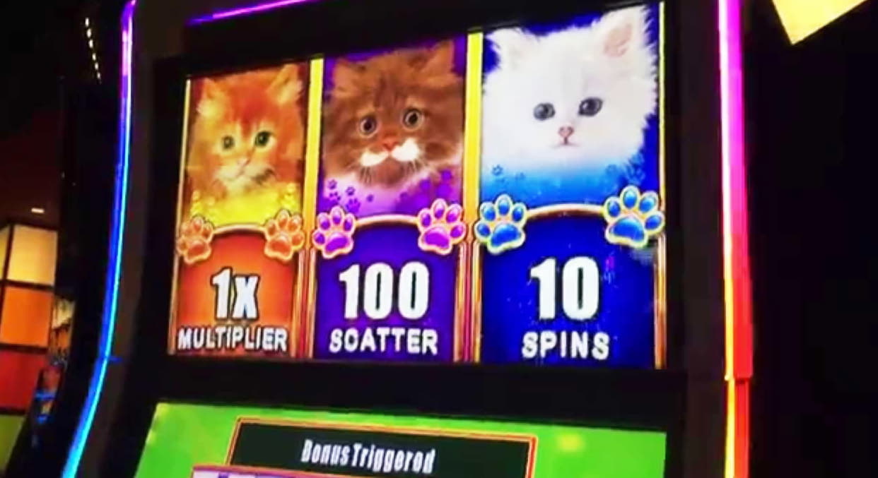 £275 Free casino chip at Bet Hard Casino