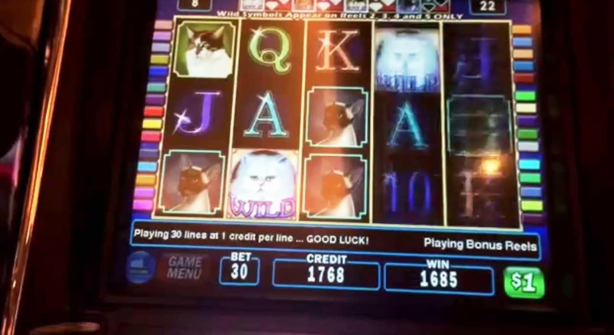 EUR 480 Casino Chip at Dunder Casino