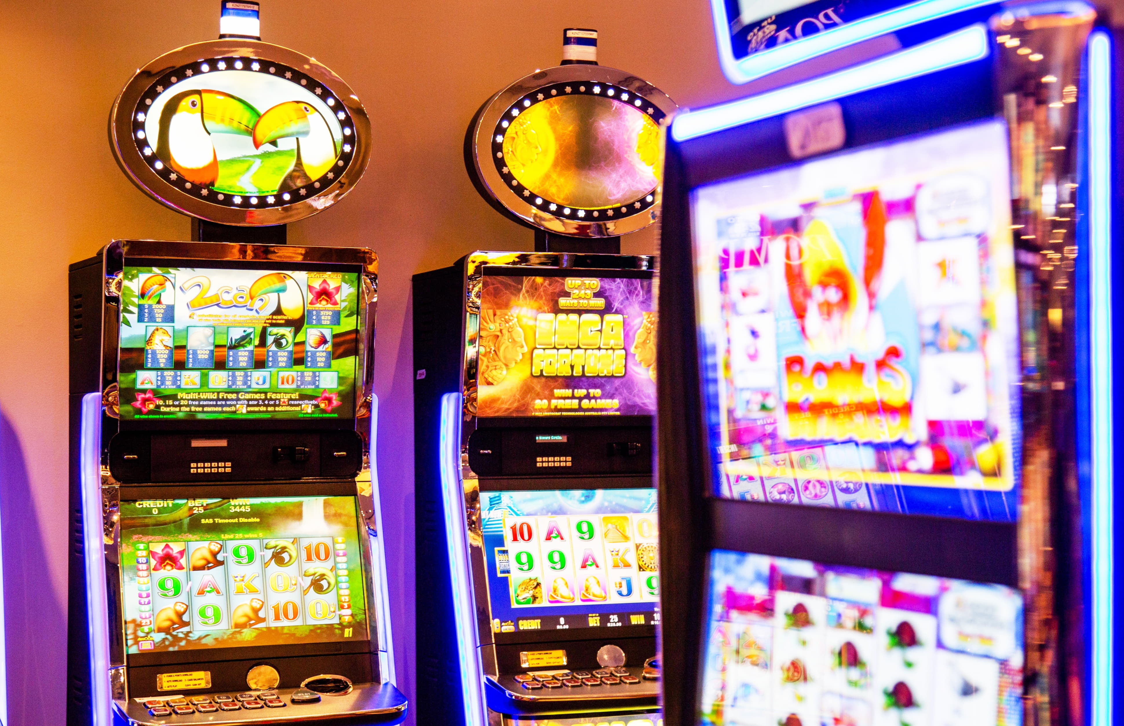205 FREE SPINS at Rizk Casino