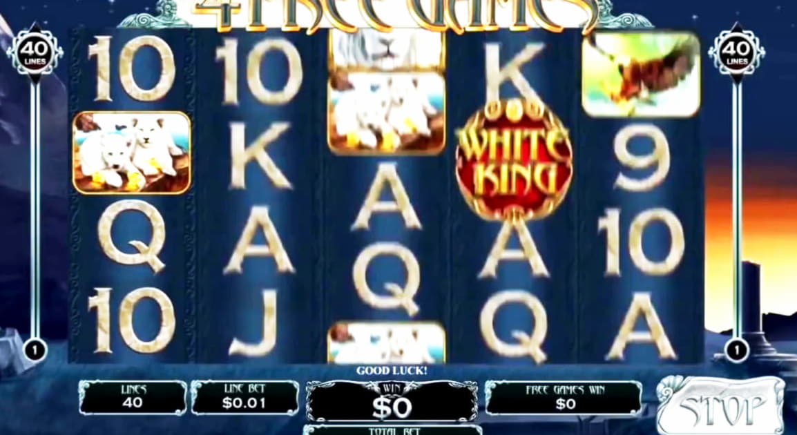 155 free spins casino at Casino Cruise