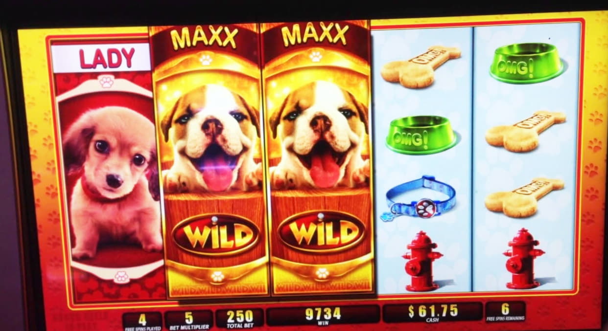 €4425 no deposit at Guts Casino