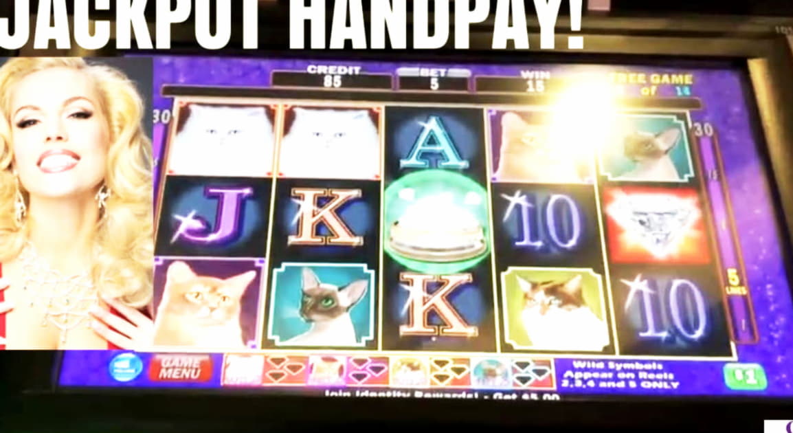$3645 no deposit bonus code at Jackpot City Casino