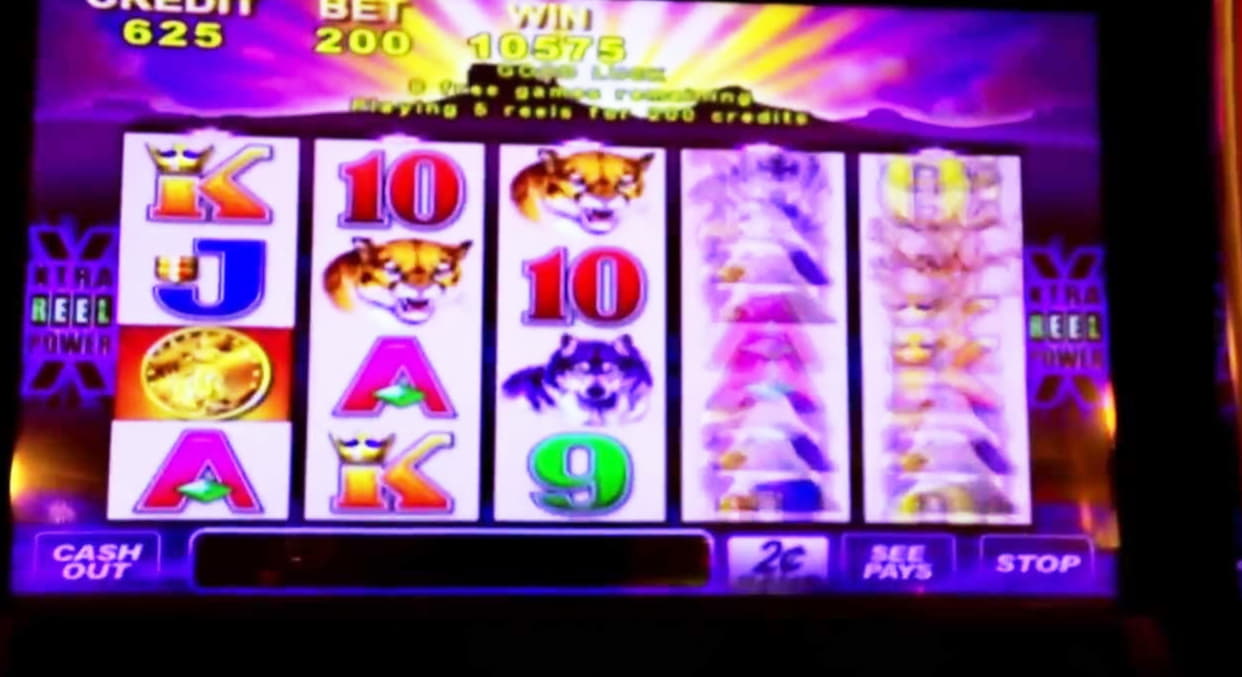 Eur 970 Free Casino Tournament at Rizk Casino