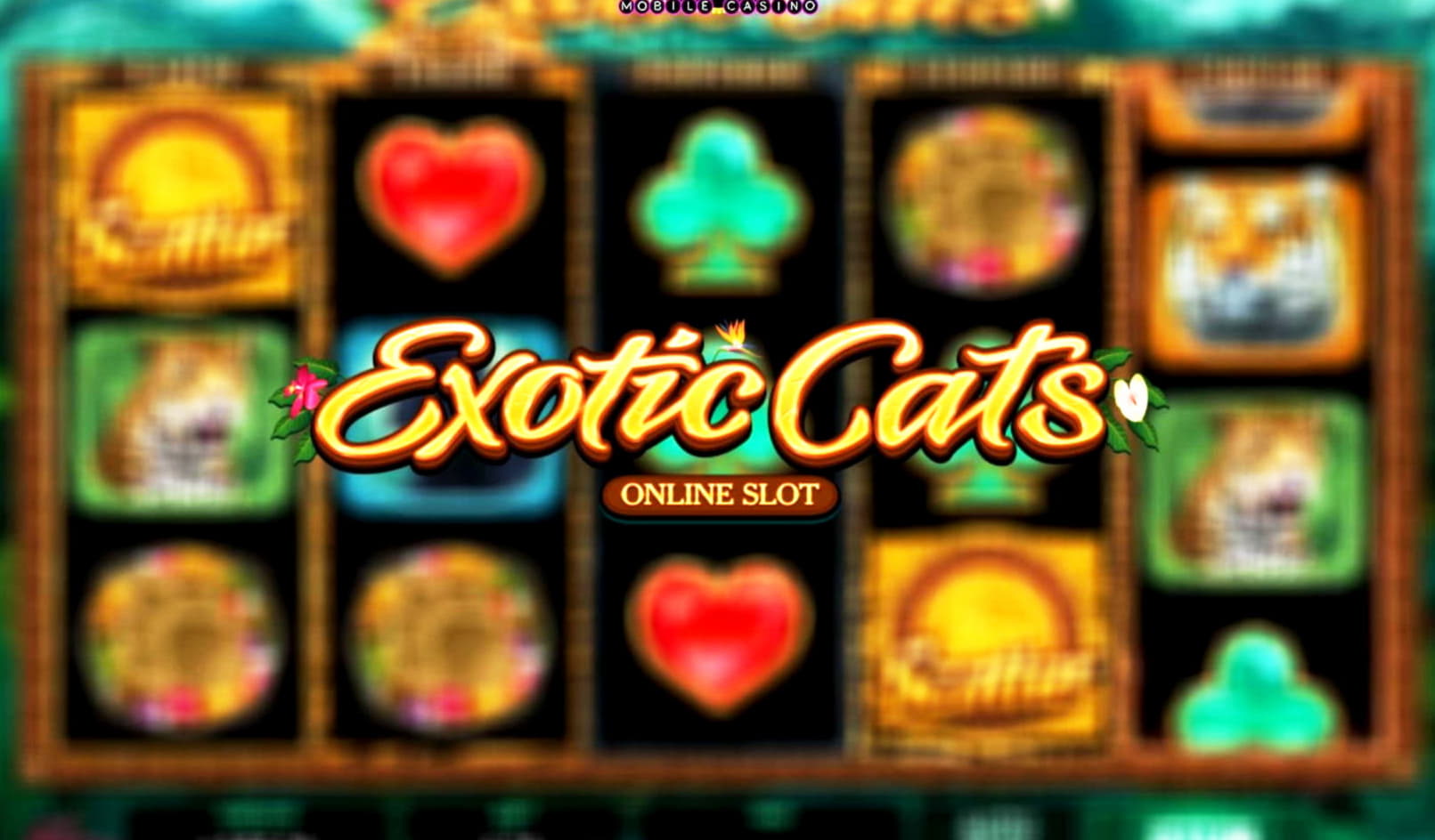 EURO 285 Tournament at Jackpot City Casino