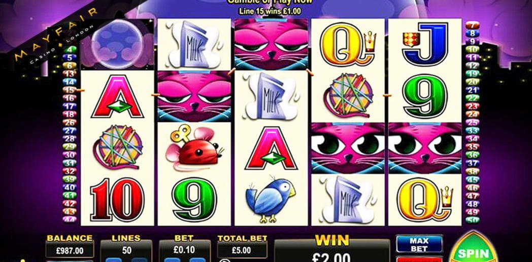 111 free spins no deposit at Oshi Casino