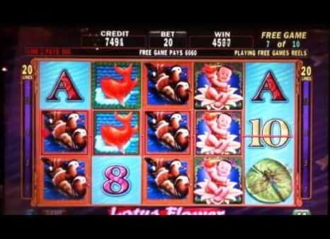 $285 No Deposit Bonus Code at Oshi Casino