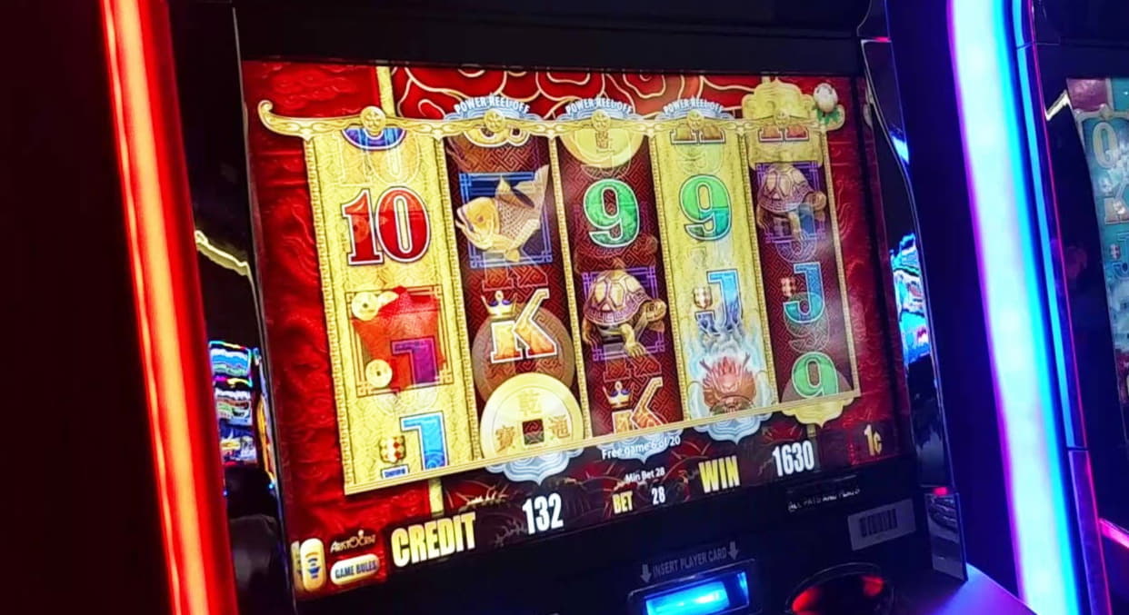 $595 Daily freeroll slot tournament at Slotty Dubai Casino