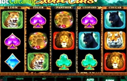 $895 Casino Tournament at Dunder Casino