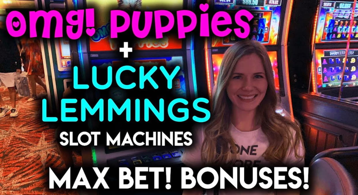 11 Free spins casino at Oshi Casino