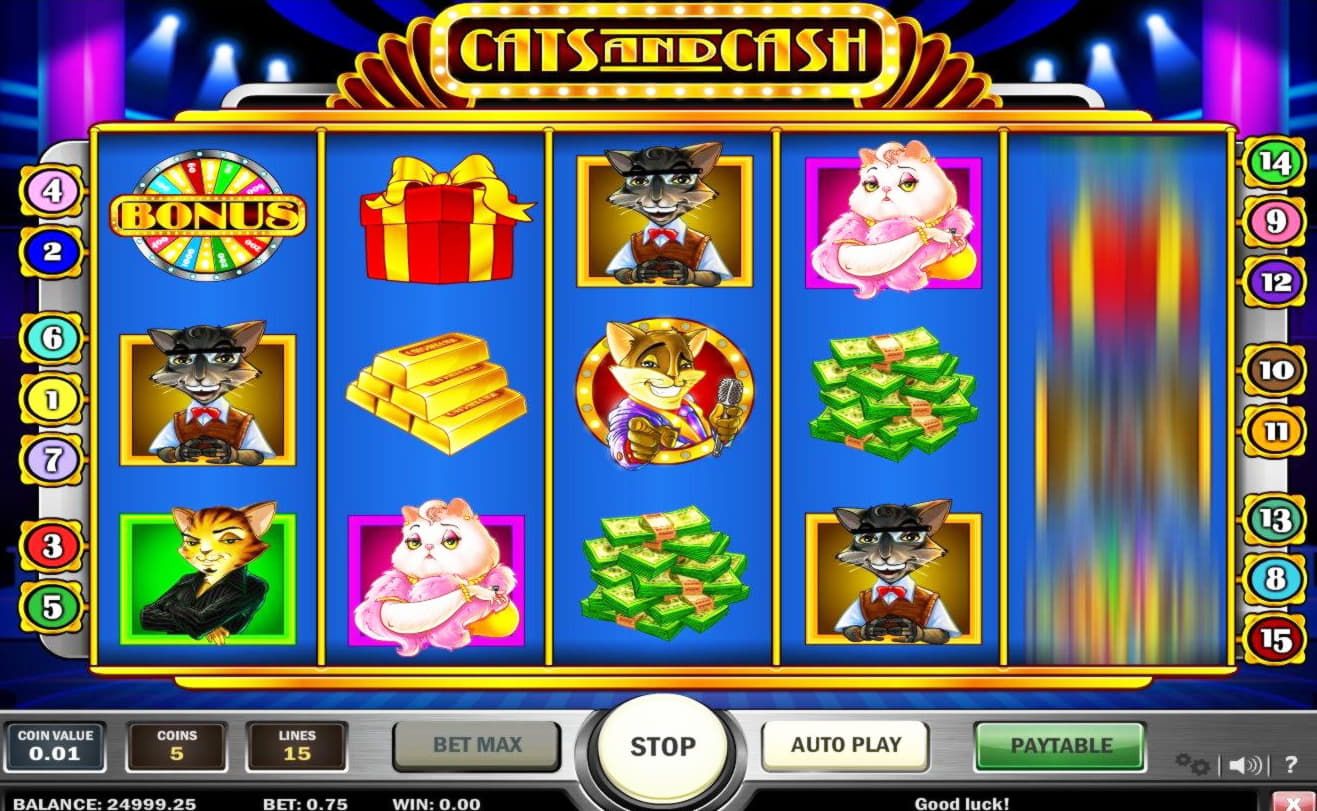 €4955 No deposit bonus code at CasiPlay Casino