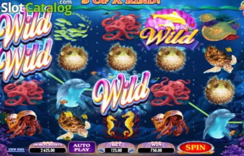 $665 Free Casino Chip at Dunder Casino
