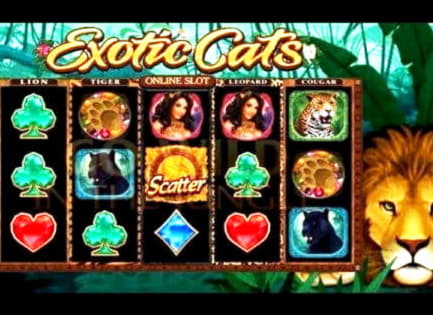 35 Free Spins no deposit casino at Party Casino