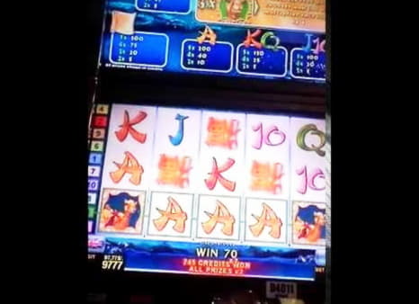 880% First Deposit Bonus at Leo Dubai Casino