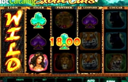 180 Free Spins no deposit casino at CasiPlay Casino
