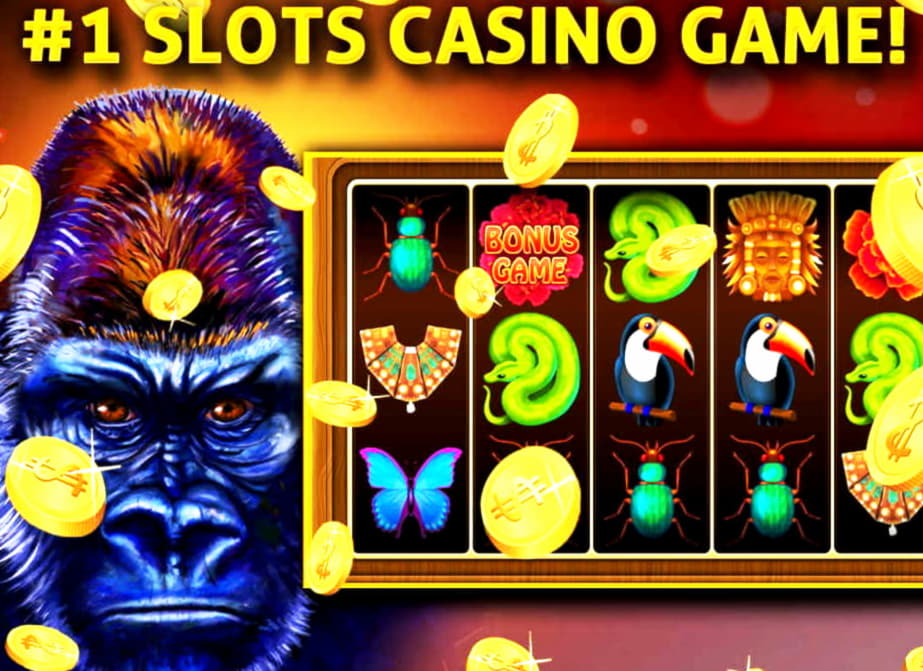 435% Best signup bonus casino at bWin Casino