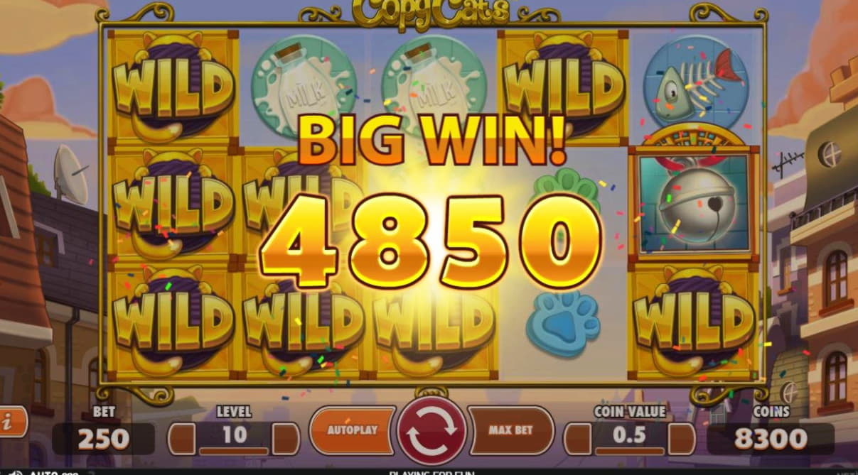 Eur 910 Free Casino Tournament at Slotty Dubai Casino