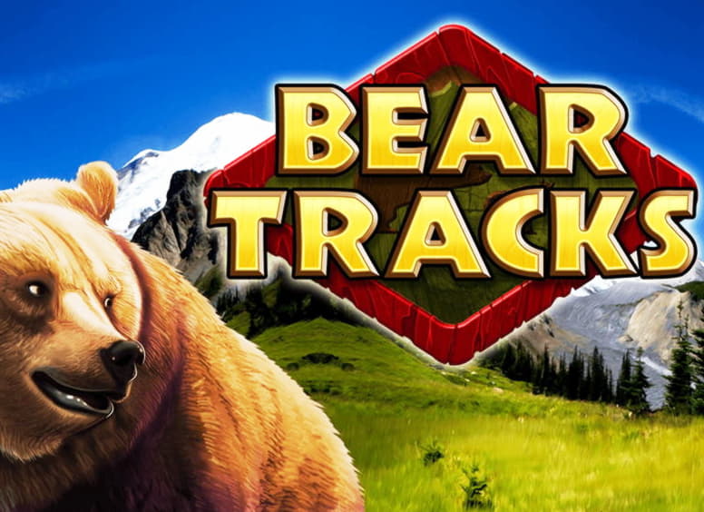 550% Best Signup Bonus Casino at Video Slots Casino