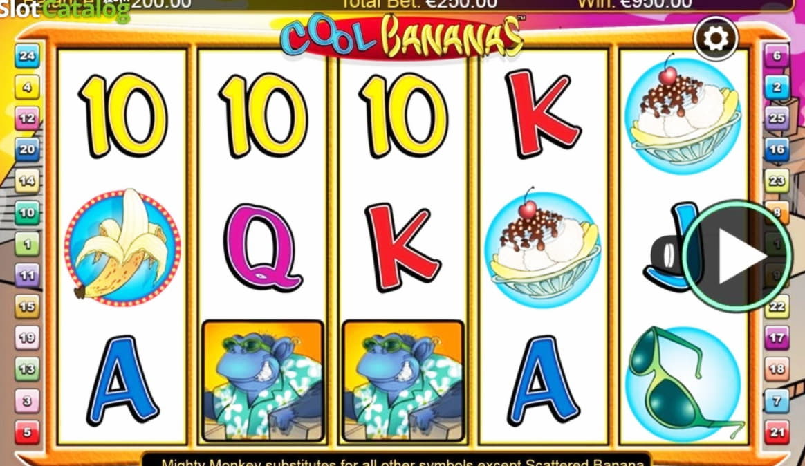 €515 Free Money at Casino Cruise