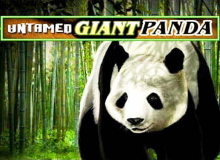 745% Casino match bonus at Bet Hard Casino