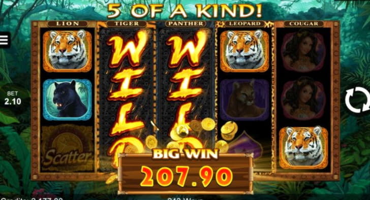 85 FREE Spins at Casino Cruise
