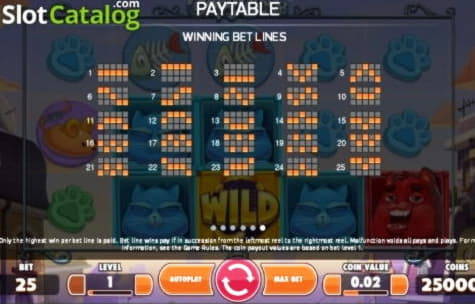 €99 Daily freeroll slot tournament at Guts Casino