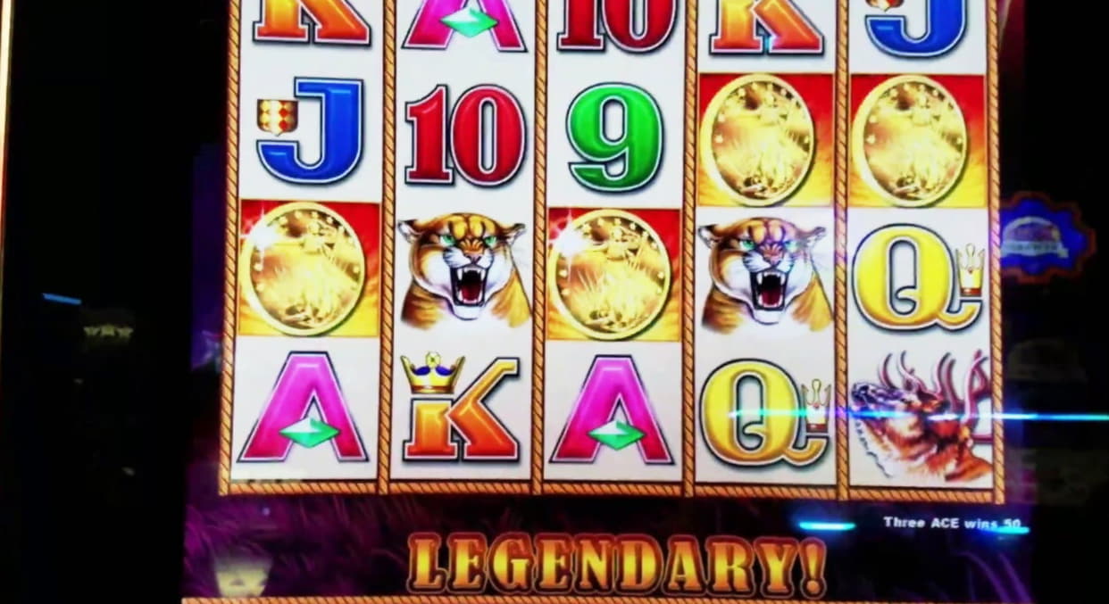 $3055 NO DEPOSIT BONUS at Red Flush Casino